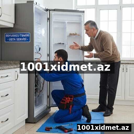 soyuducu ustası 7\24 peşəkar xidmət